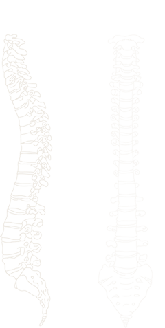 spinekontakt